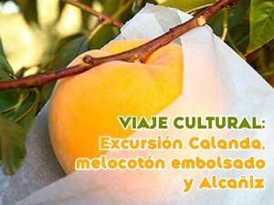 viaje cultural Calanda, melocotón y Alcañiz viaje cultural Calanda, melocotón y Alcañiz